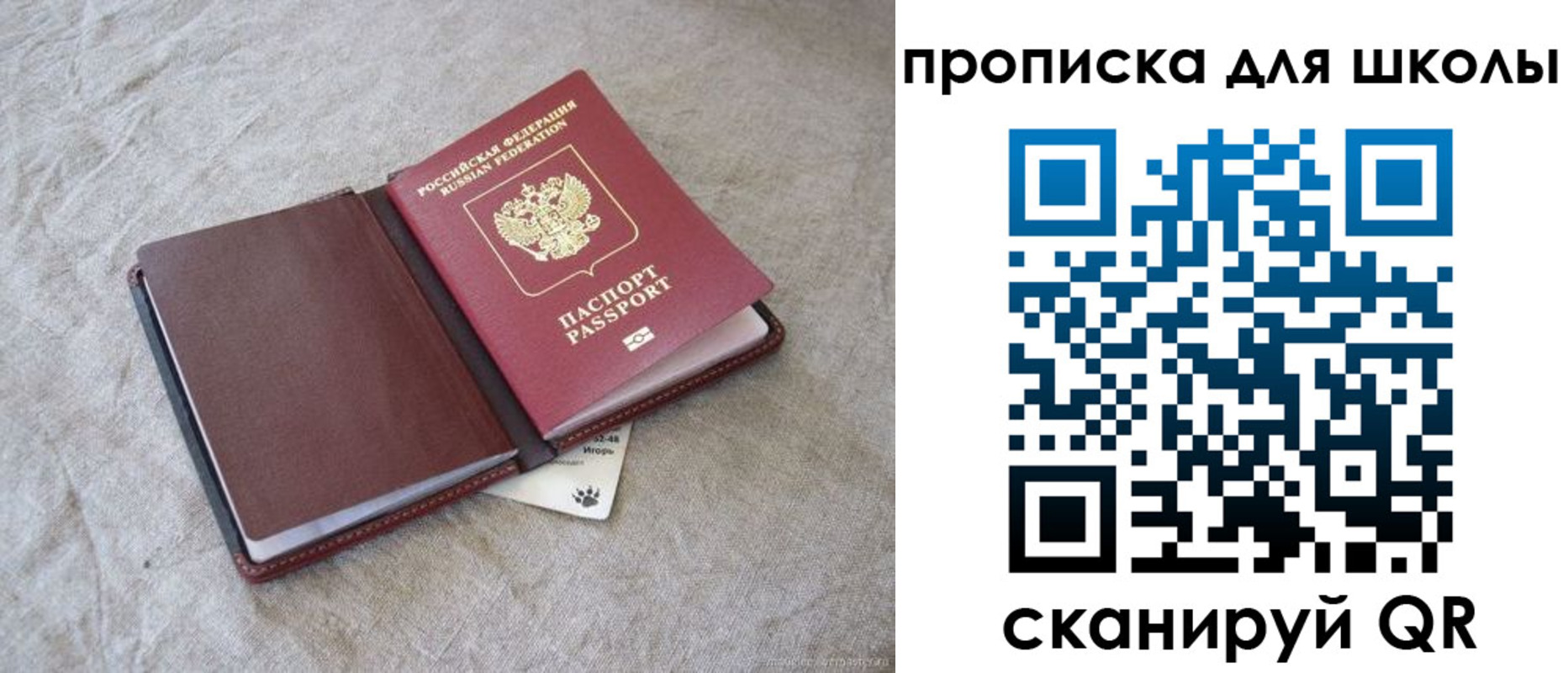 прописка штамп в Светлом